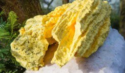 What is Sulfur, its Properties, Occurrence, and Uses