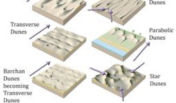 What is sand dunes,Types of Sand Dunes and formation?